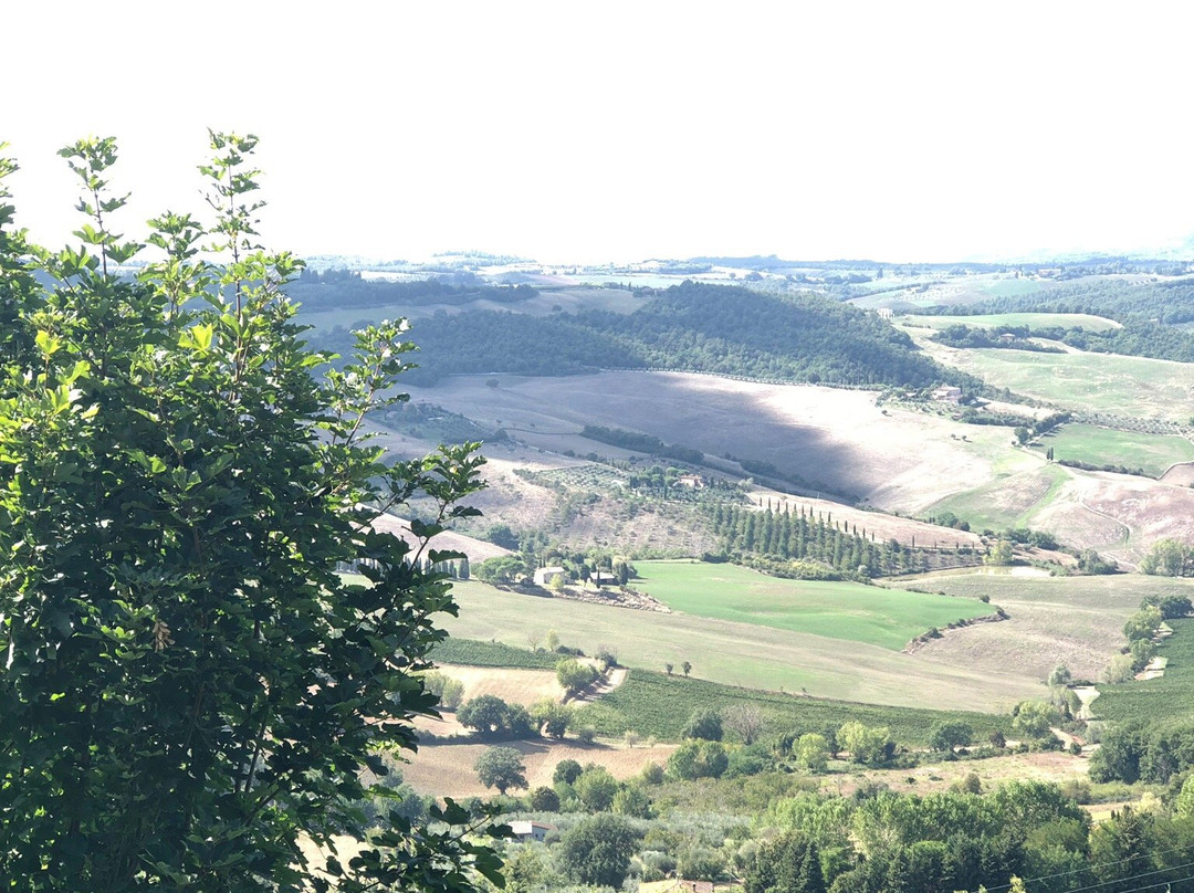 Tuscany Private Tour-卡斯特利纳－因基安蒂必去景点