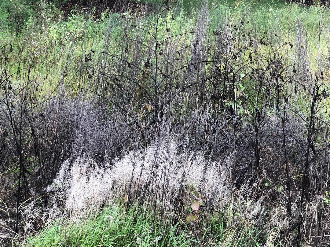 Lake Elmo Park Reserve-Lake Elmo必去景点