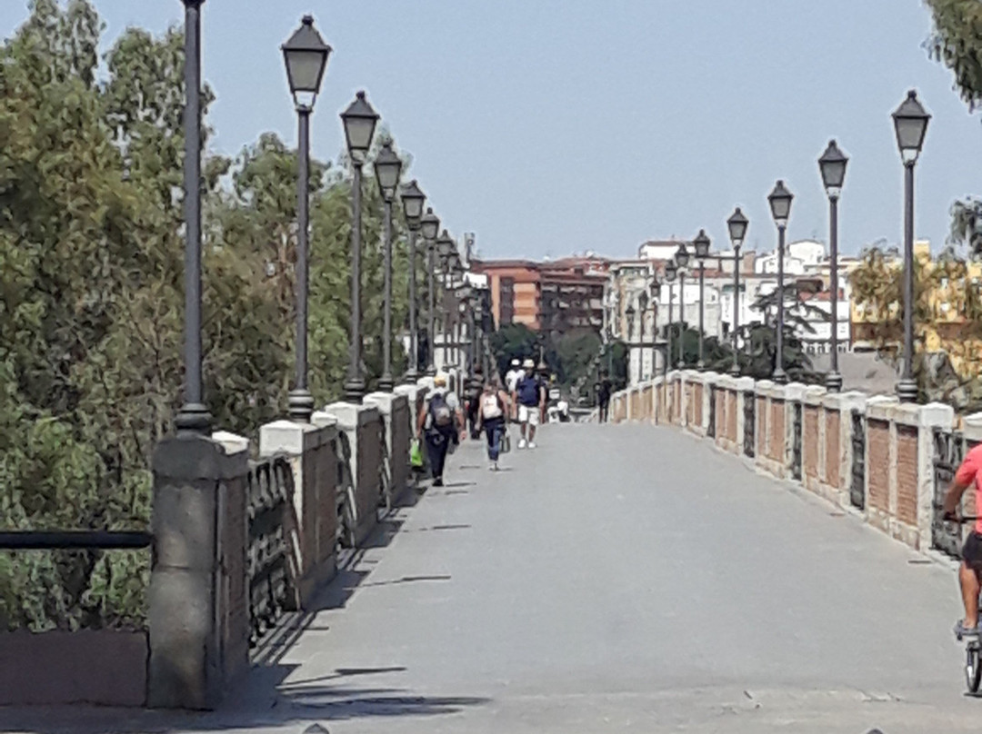 Puente de Palmas景点图片
