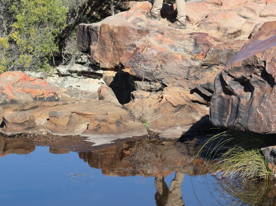 Nieuwoudtville Waterfall-Nieuwoudtville必去景点