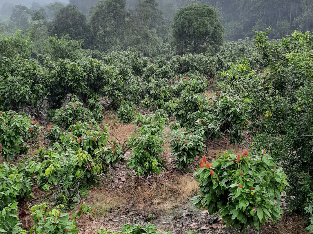 Berlin Hotel Spa & Finca主图