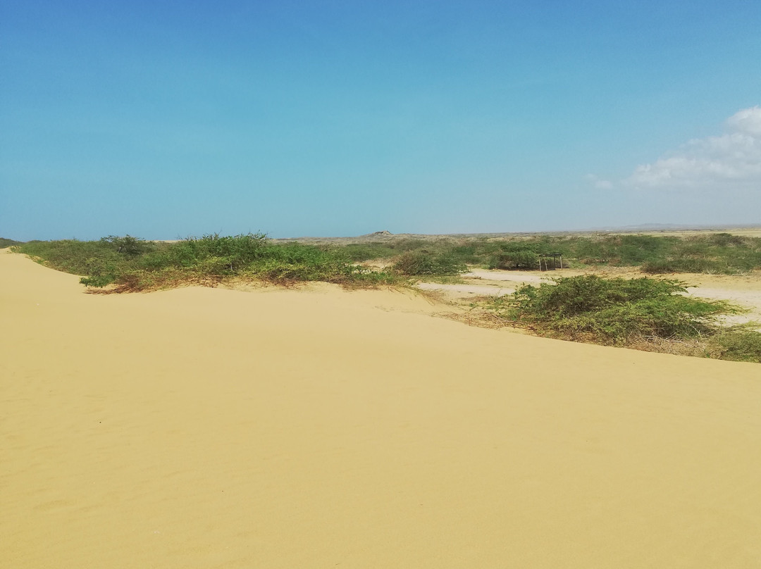 Dunas de Taroa-Uribia必去景点