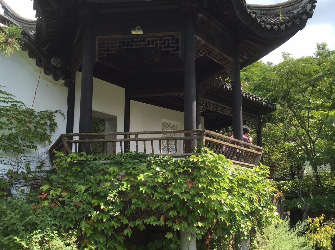 New York Chinese Scholar's Garden景点图片