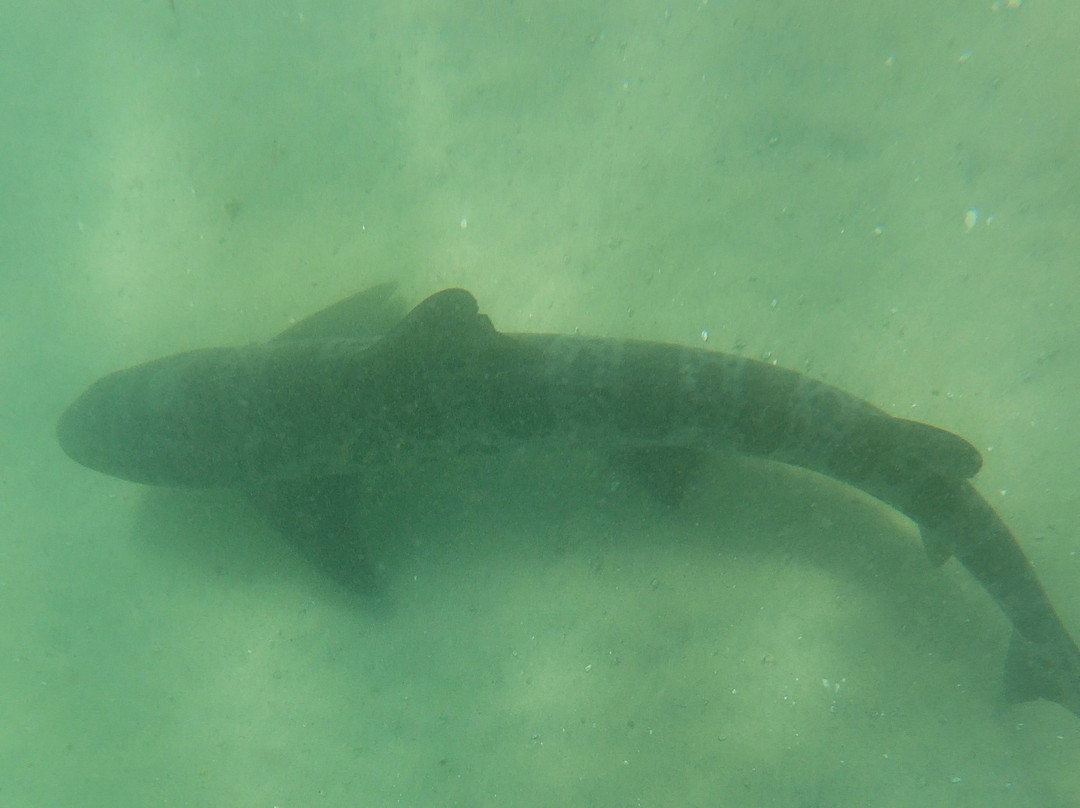 SD Expeditions-拉荷亚必去景点