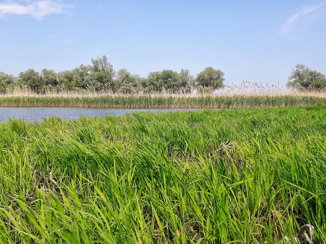 Nizhnednestrovskiy National Park-Mayaky必去景点