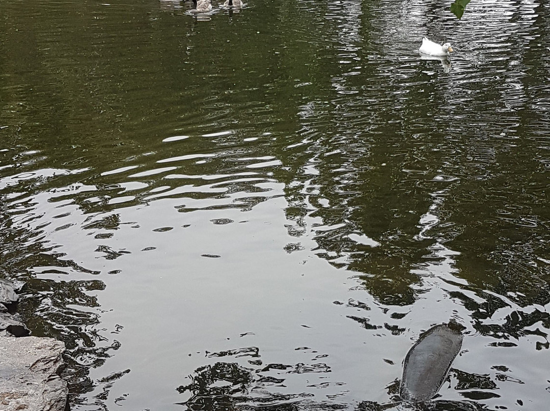 Alberta Birds of Prey Visitor's Centre-Coaldale必去景点