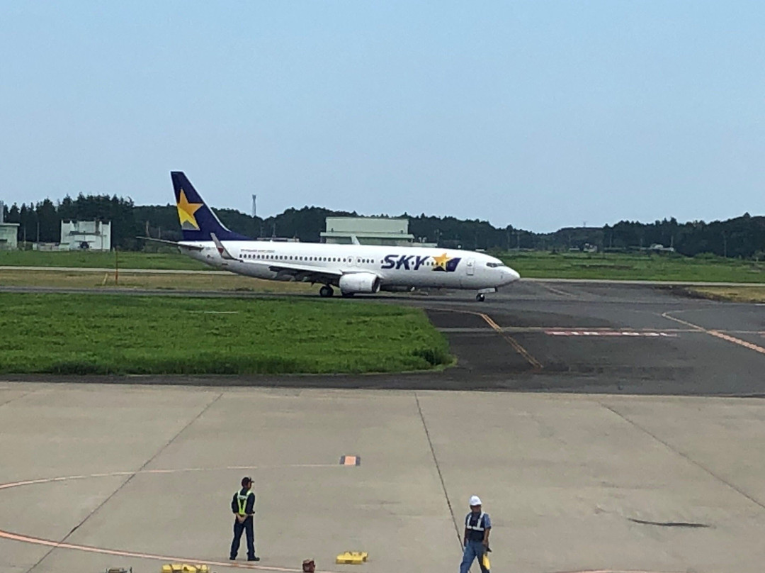 Ibaraki Airport Observation Deck景点图片