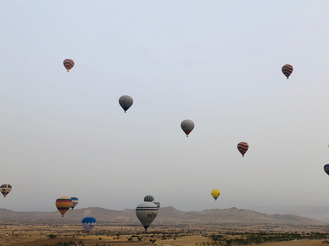 Anatolian Balloons景点图片