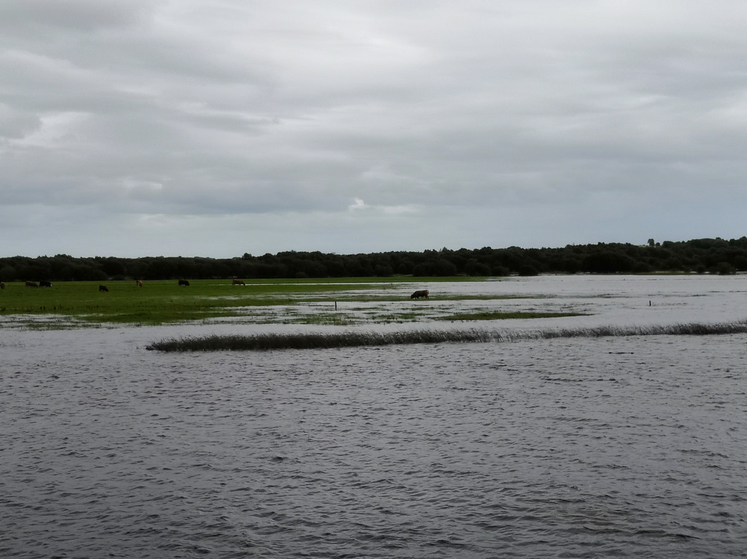 River Shannon-利默里克郡必去景点