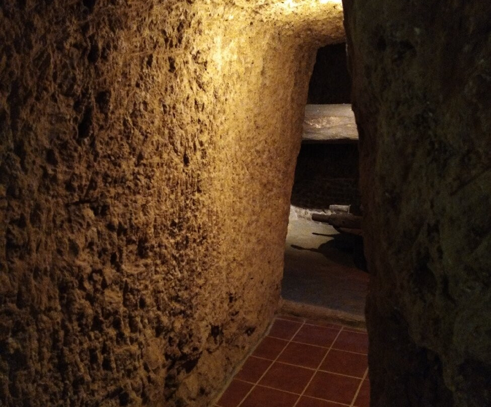 Museo del Vino de Valdevimbre景点图片