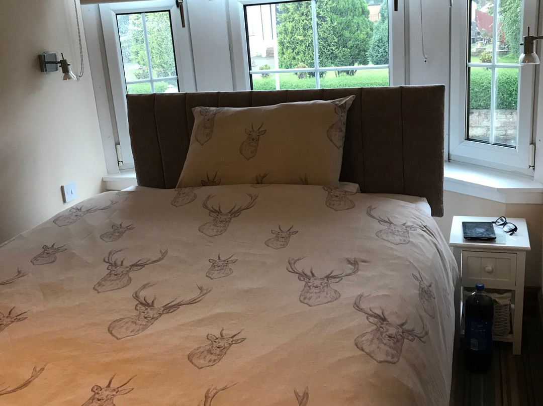 Knight's Rest Guest House主图