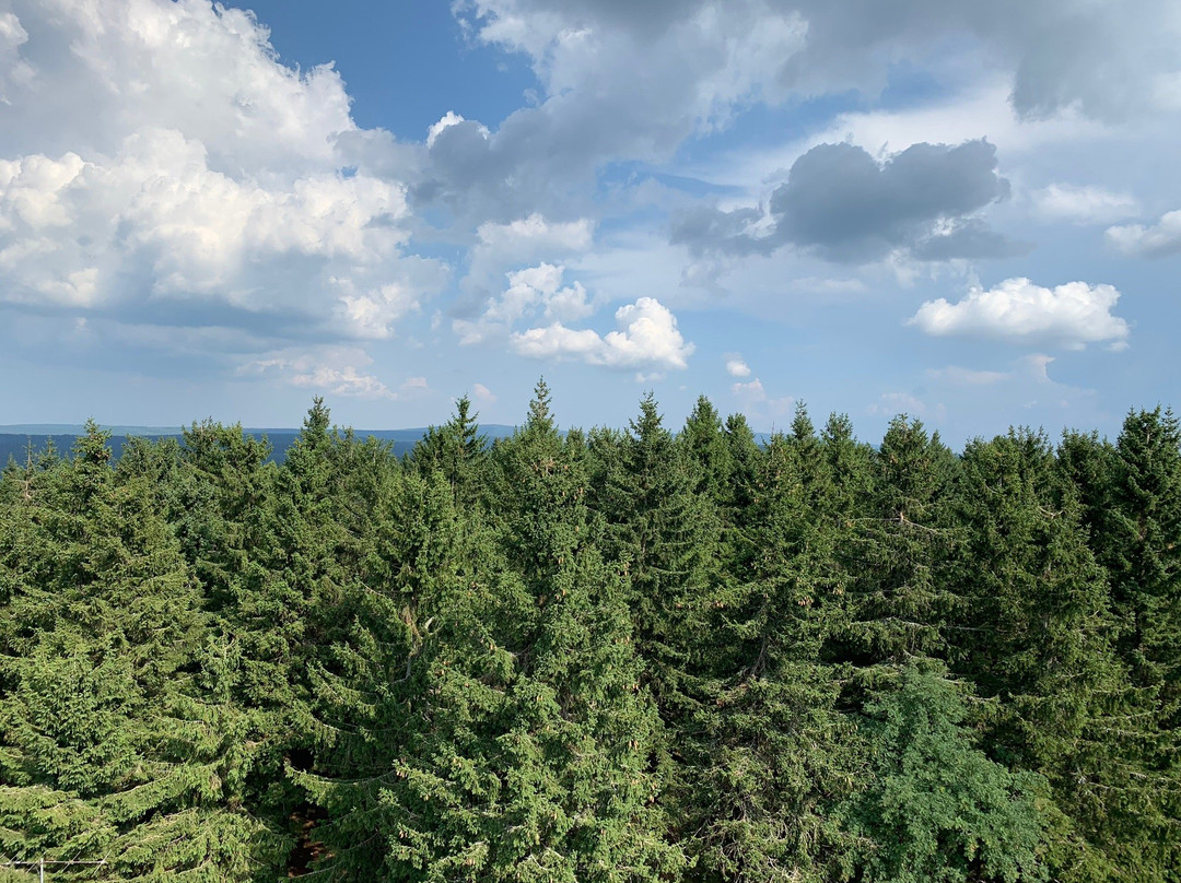 Naucna stezka Horni Blatna - Vlci jamy-Horni Blatna必去景点