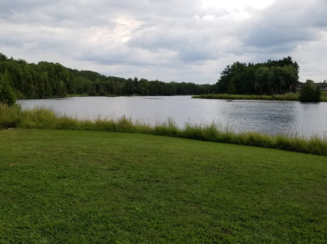 Durham Conservation Area景点图片