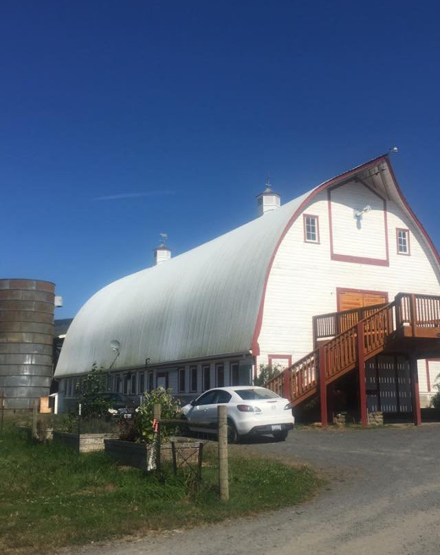 Little Island Creamery