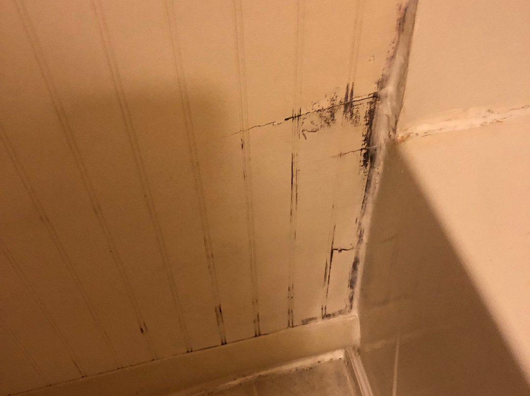 Alpine Resort & Golf主图