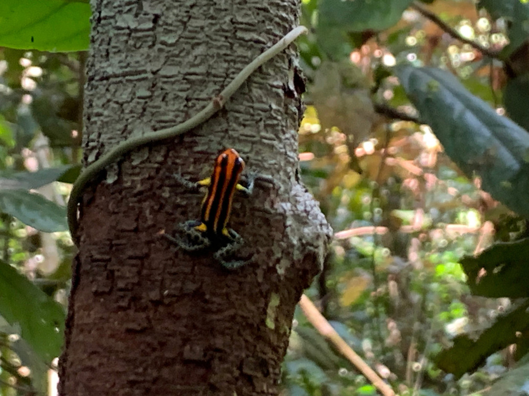 JG Expeditions Tours主图