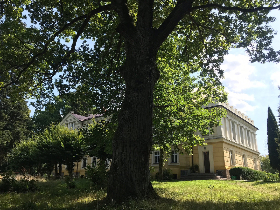 Sasino Palace Hotel主图