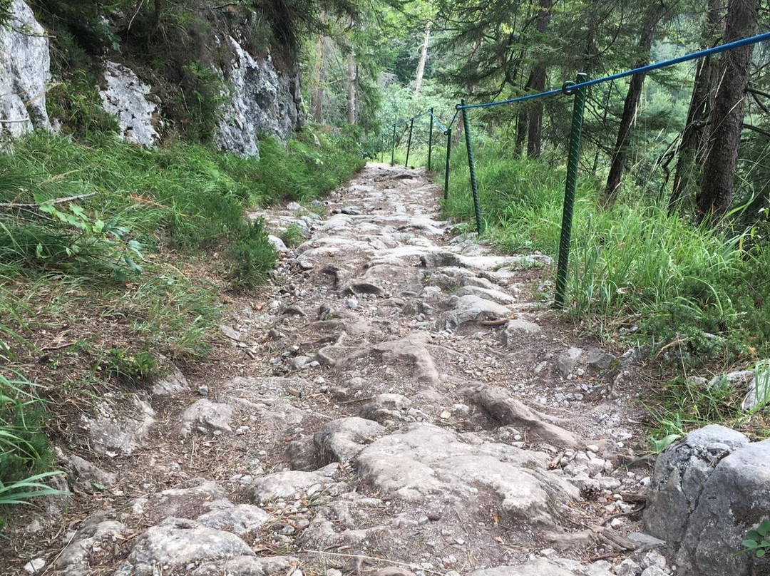 Woerschachklamm-Worschach必去景点