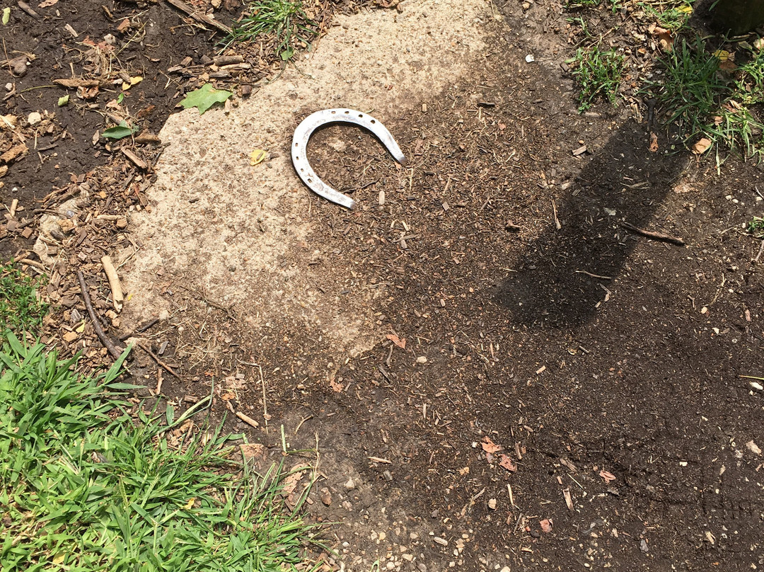 Jesse James Birthplace Museum-Kearney必去景点