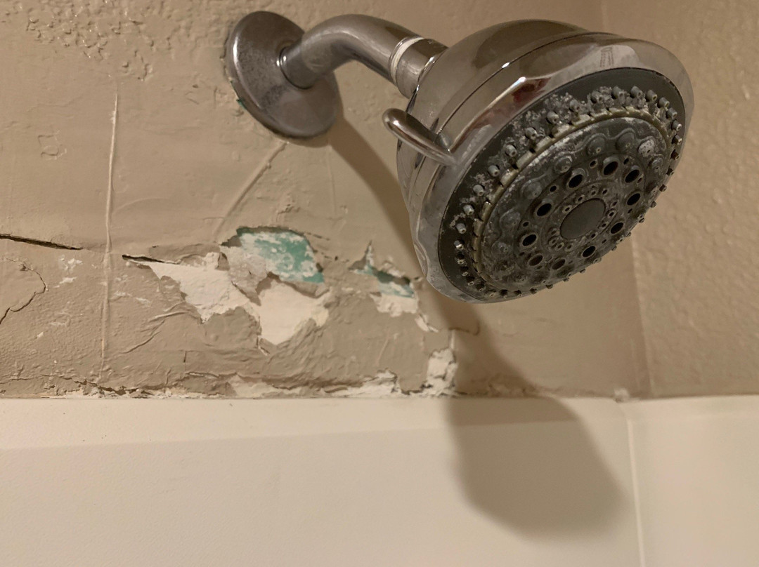 Super 8 by Wyndham Spokane/West主图