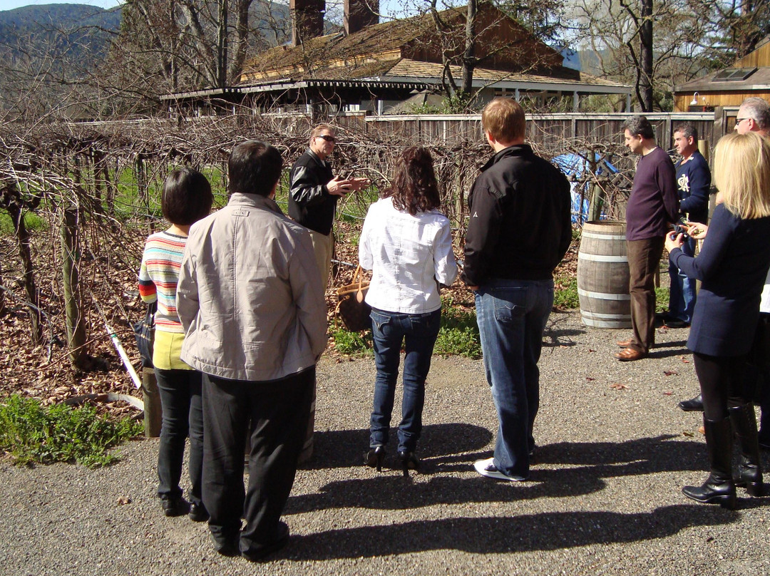 Bay Magic Meetings & Tours-旧金山必去景点