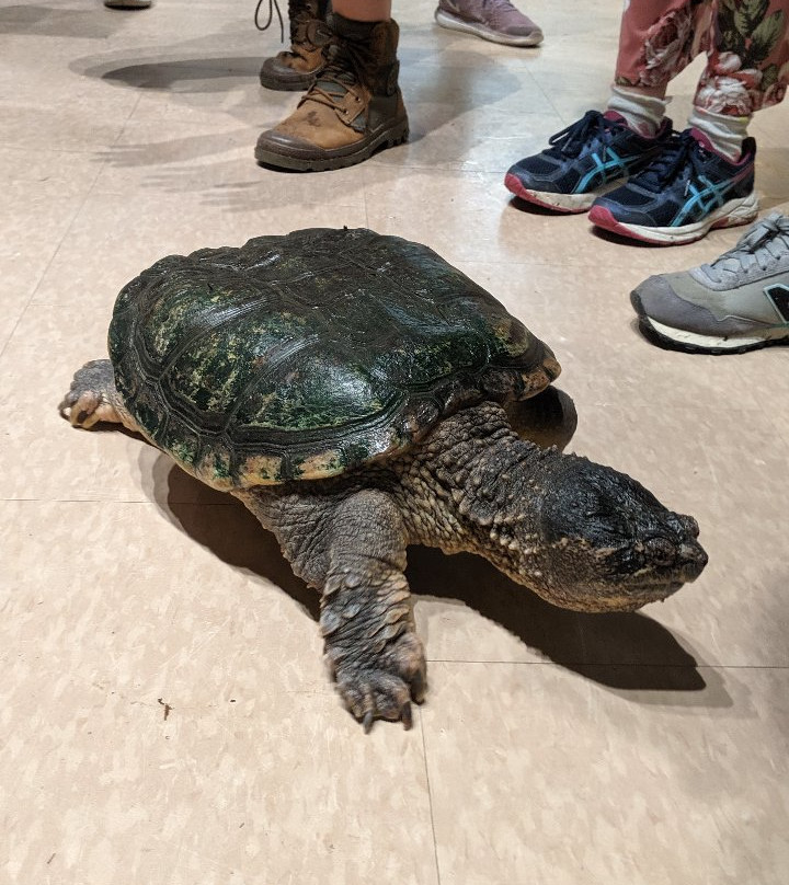 Wye Marsh Wildlife Centre-Midland必去景点