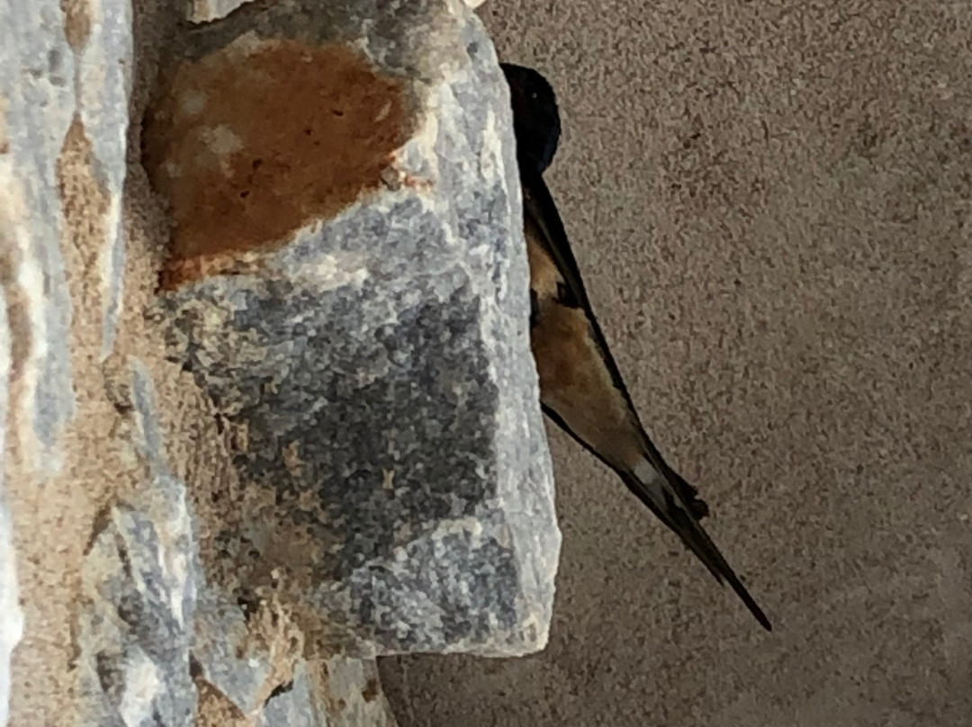 Psamathous Guest House主图