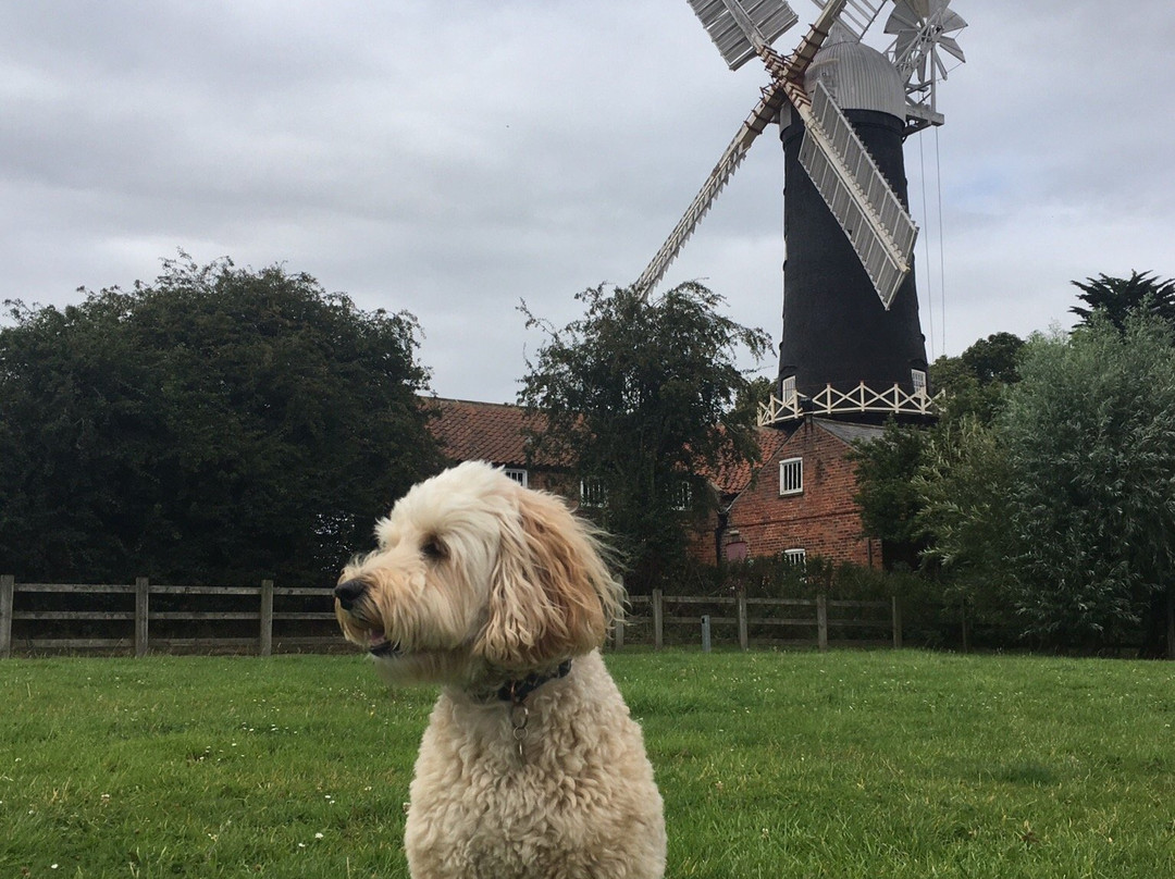 Skidby Windmill and Museum景点图片