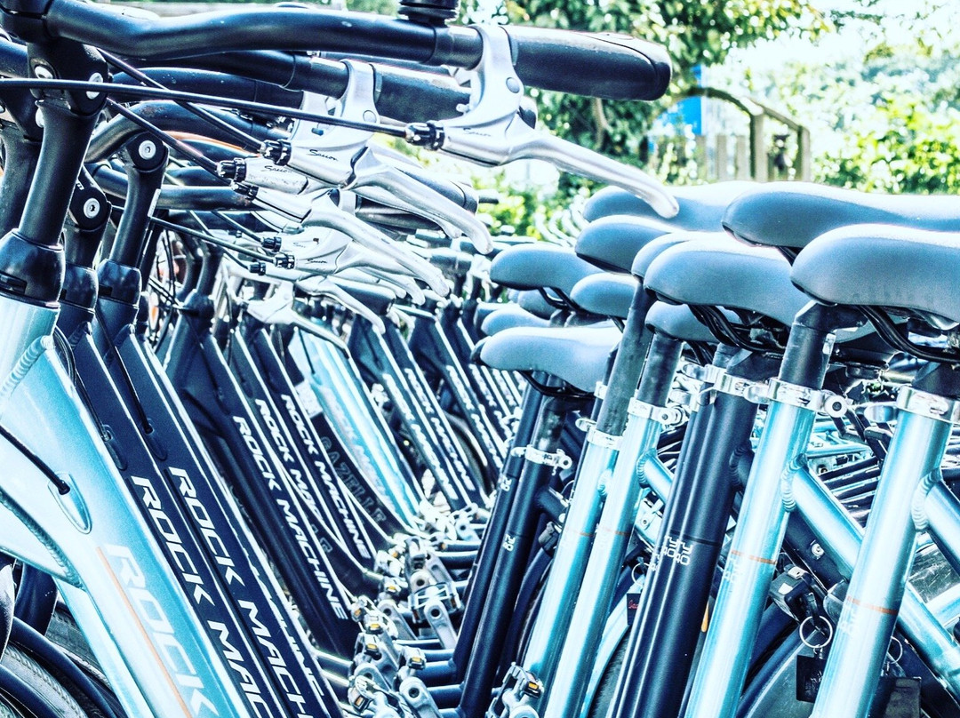 Fietsverhuur Renesse