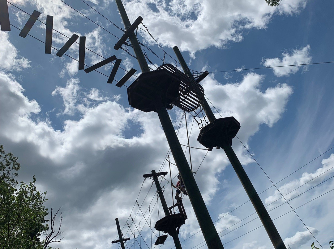 Essex County Treetop Adventure Course景点图片