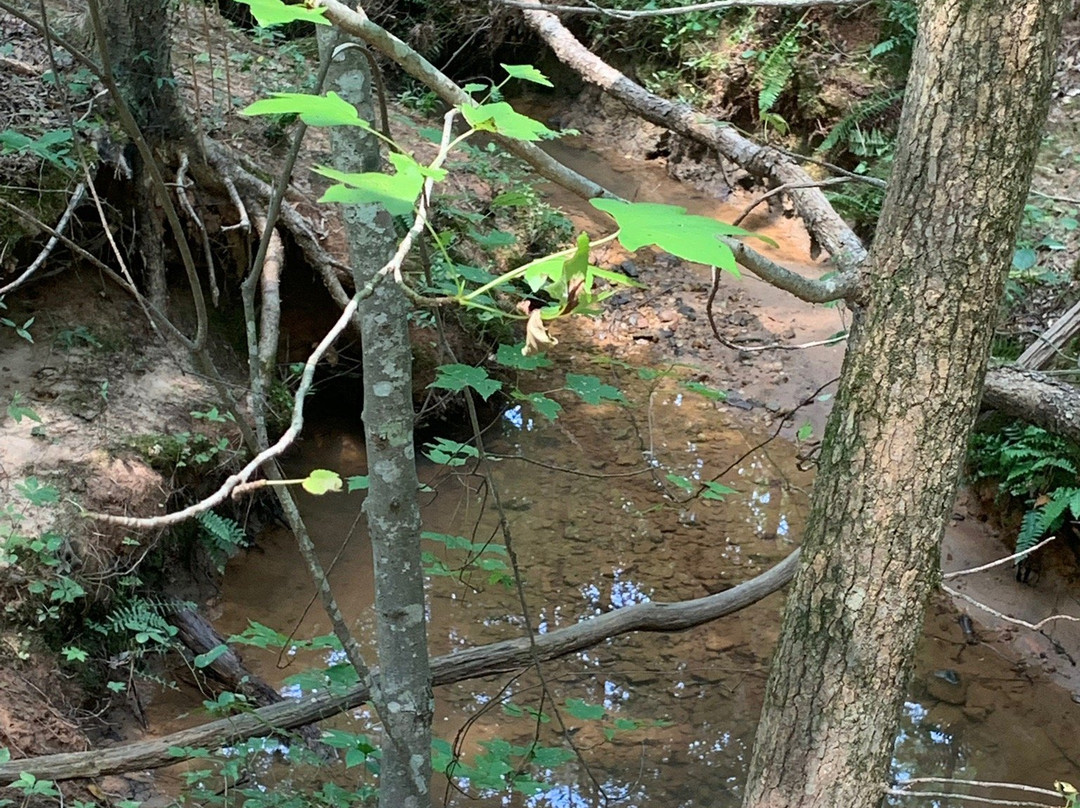 Anne Springs Close Greenway-米尔堡必去景点
