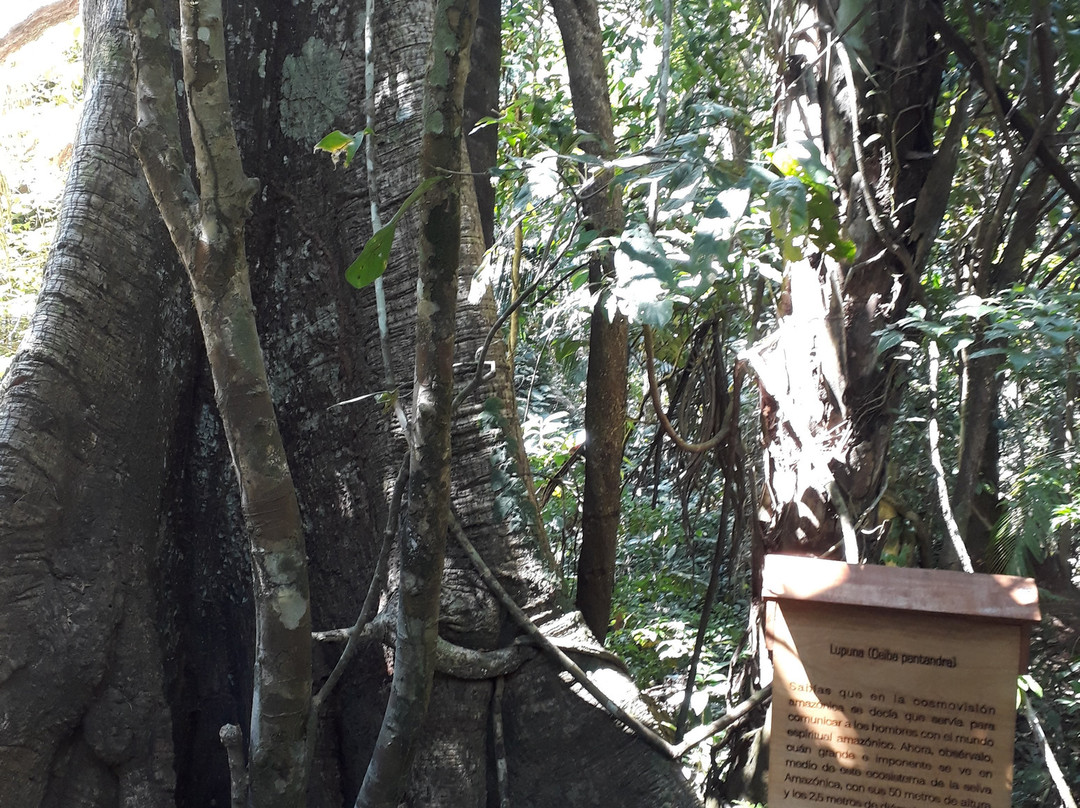 Tambopata National Reserve景点图片