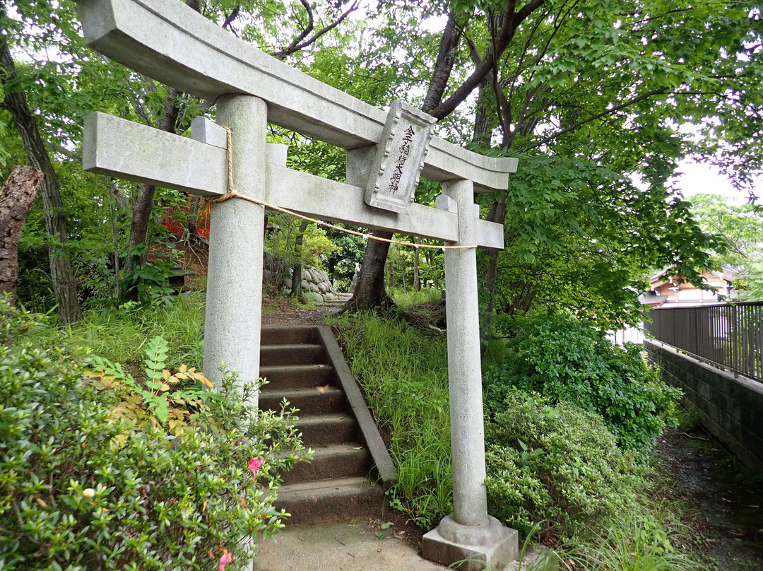 Kaneko Inari Daimyojin Shrine景点图片