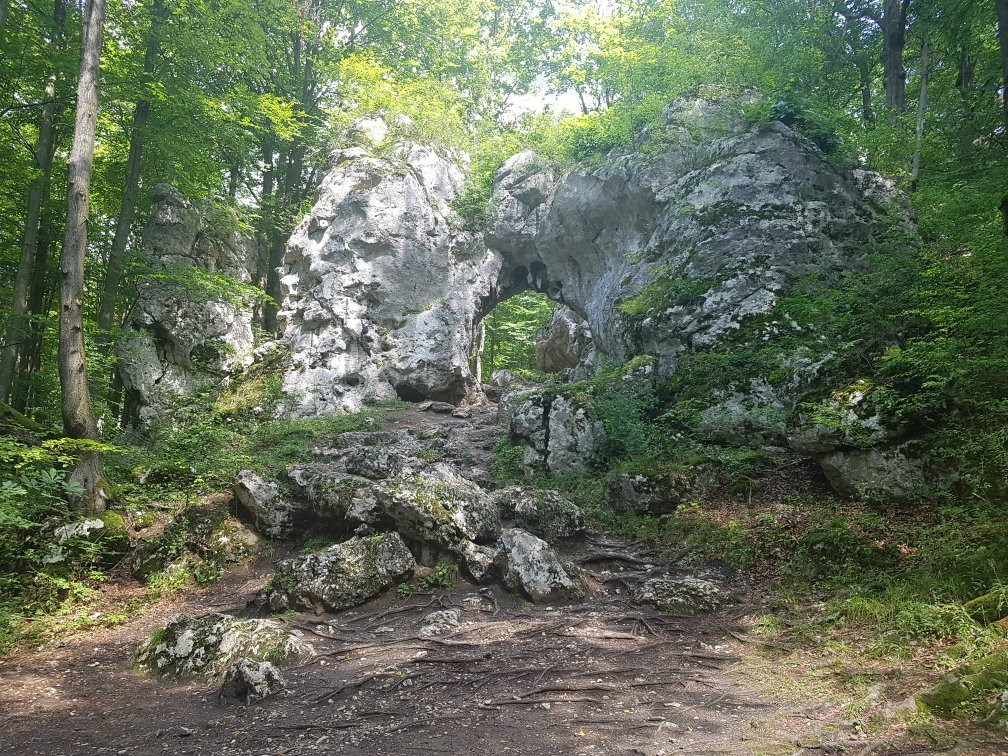 The Twardowski Gate景点图片