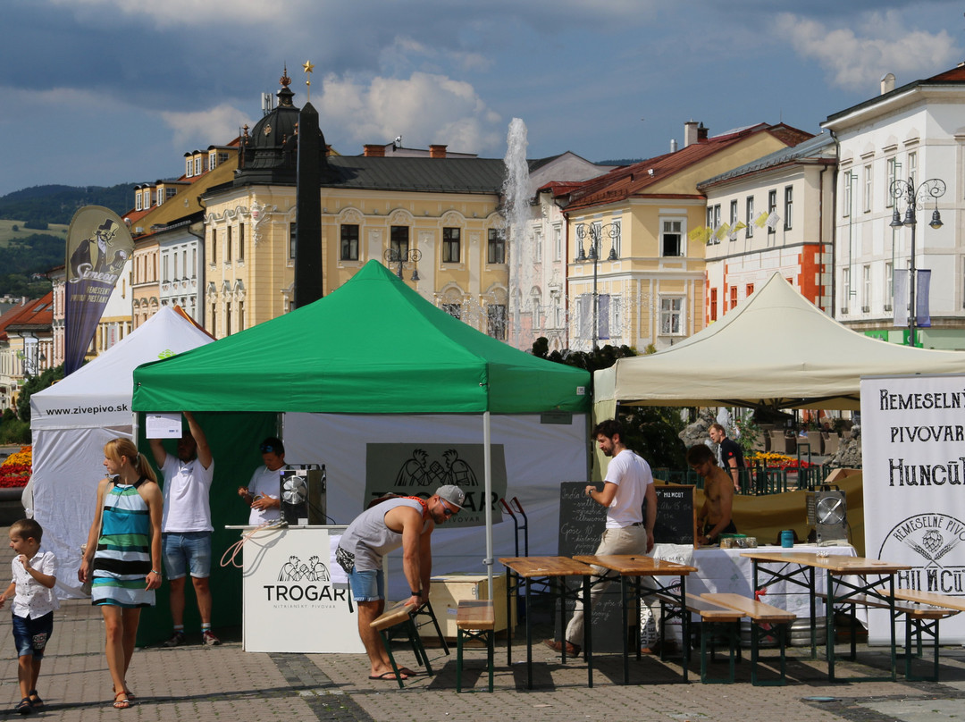 Slovak National Uprising Square-Banska Bystrica必去景点