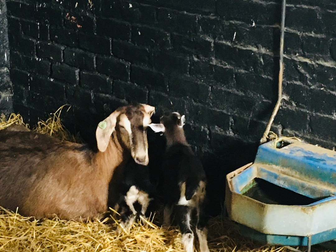 Newgrange Farm-Slane必去景点