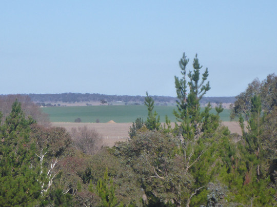 Thunderbolts Rocks-Uralla必去景点
