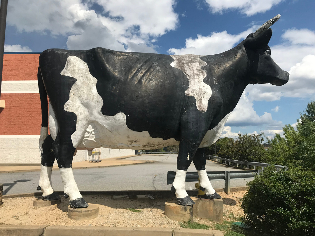 Kadie the Cow of Columbus景点图片