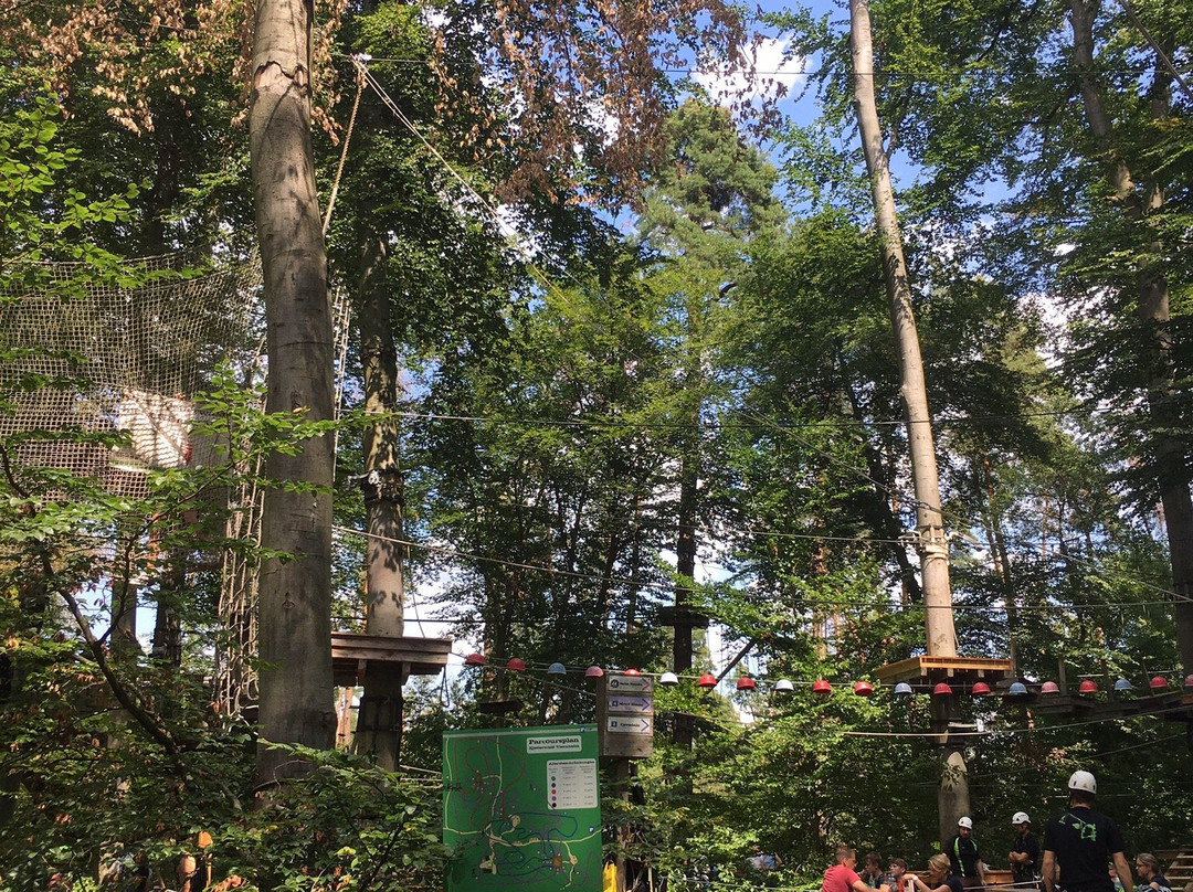 Kletterwald Viernheim-菲恩海姆必去景点