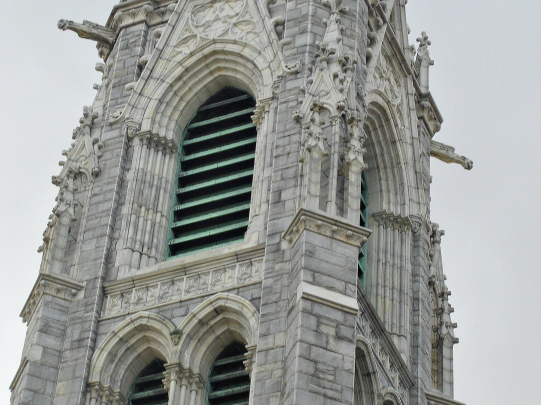 Cathedral Basilica of the Sacred Heart景点图片