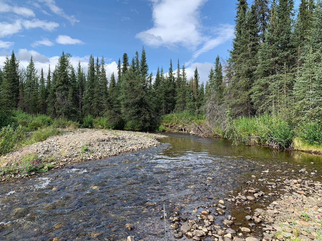 Denali Fly Fishing Guides景点图片