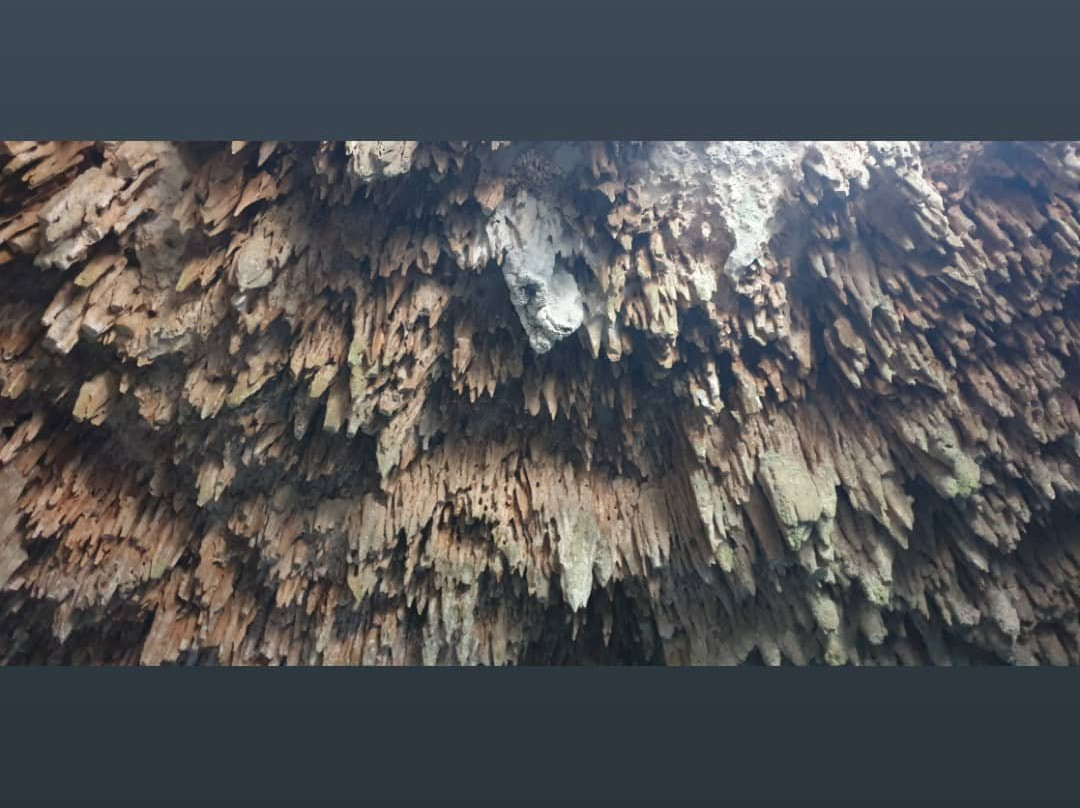 Cenotes Labnaha & Eco Park-图伦必去景点