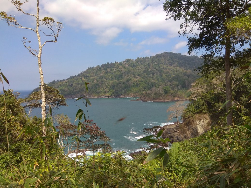 Meru Betiri National Park-巴纽旺宣必去景点