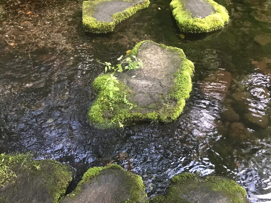 Taisetsu Asahidake Gensui-东川町必去景点