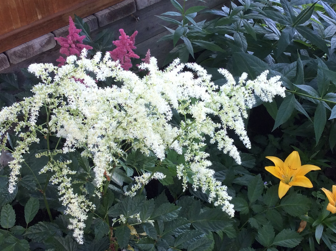 卡谢宿加早餐旅馆主图