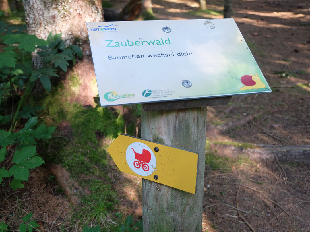 Kinderwagen und Spieleweg-Reit im Winkl必去景点