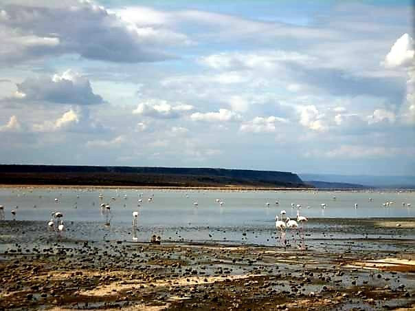 Lake Magadi Conservancy景点图片