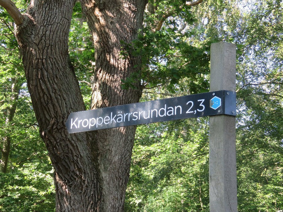 Dalby Söderskog National Park-Dalby必去景点