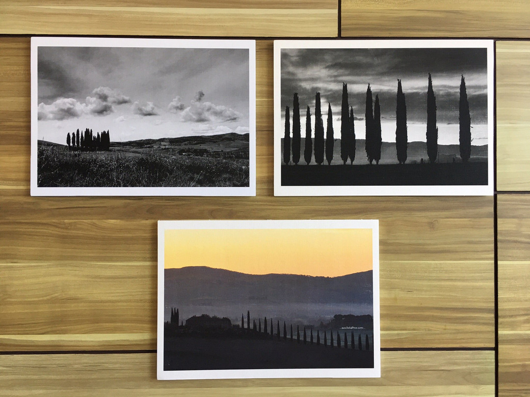 Tuscany Photo Tours景点图片