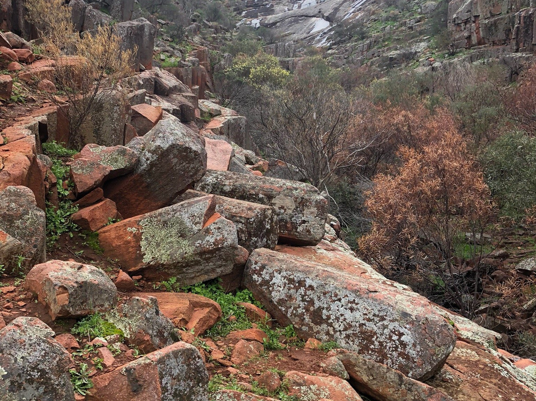 Gawler Ranges National Park-高勒山脉必去景点